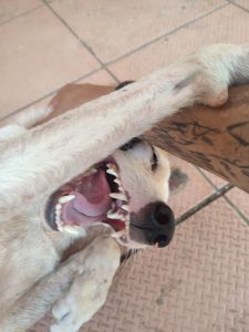 this is not aggression